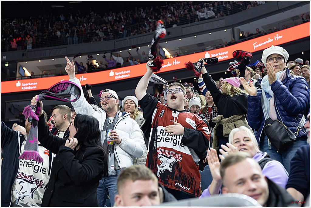 PENNY DEL 1; Kölner Haie - Fischtown Pinguins; Köln, 15.11.2024